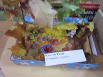 призёр 3 степени
