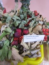 участник конкурса